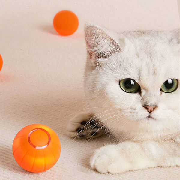 Special Edition Pet Toy Ball