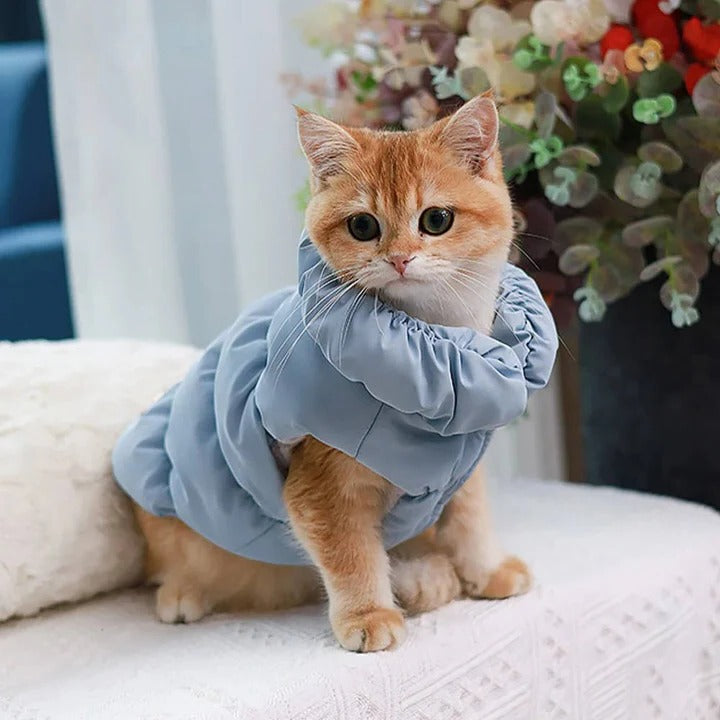 Cozy Winter Vest with Built-In Leash Connector for Pets