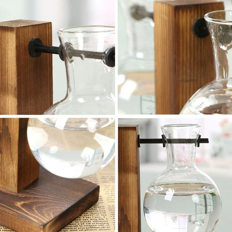 Hydroponic Plant Vase with Wooden Frame