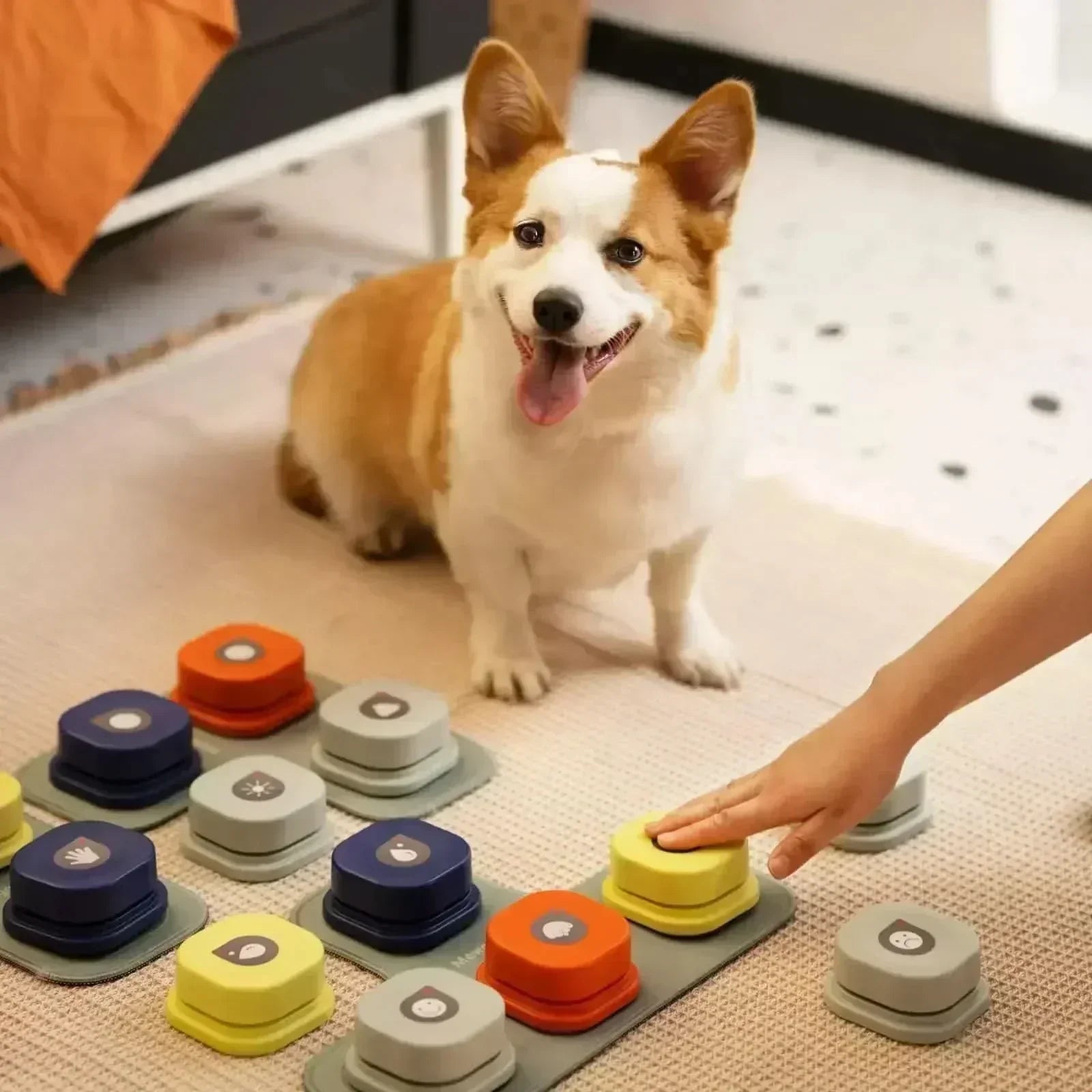 CanineConnect Interactive Voice Buttons for Dogs