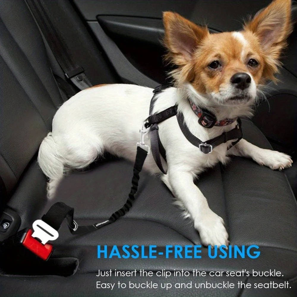 Safety Belt for Dogs in Car – Canine Travel Restraint