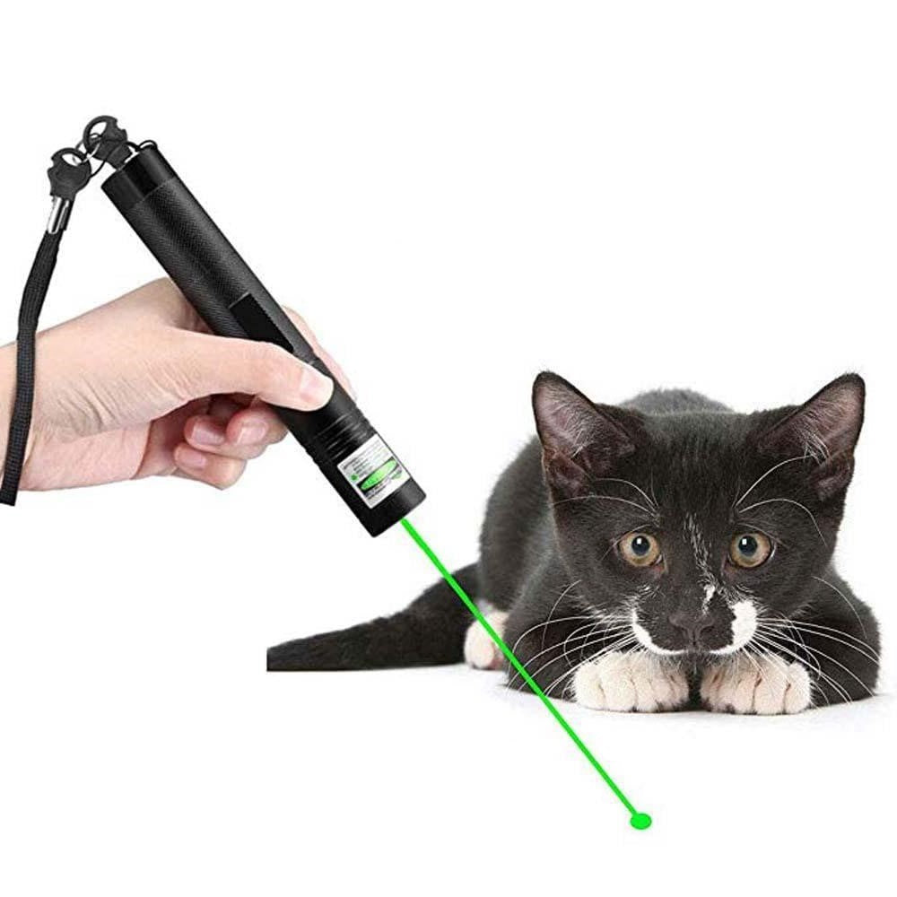 PrecisionPro 303 Ultra-Bright Green Laser Pointer