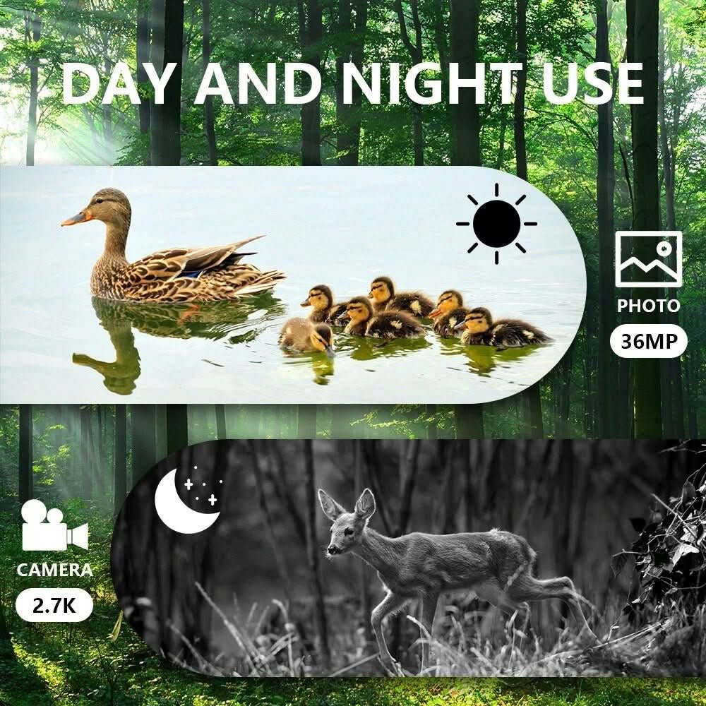 NightSight Pro Binoculars: 300m Range with Recording Feature