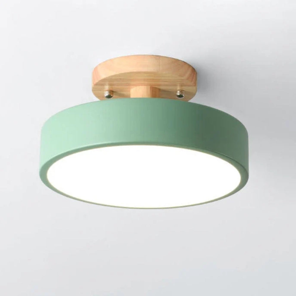 Luminara – Elegant LED Ceiling Light Fixture