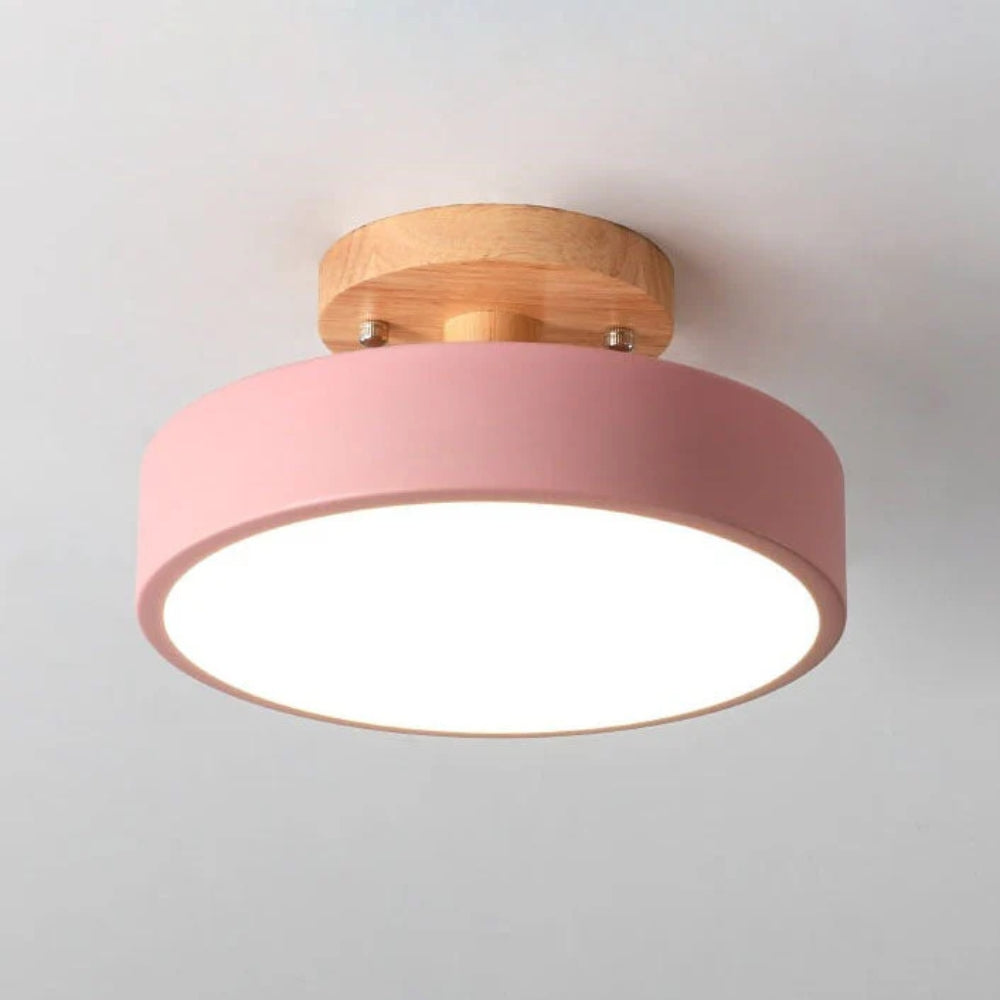 Luminara – Elegant LED Ceiling Light Fixture