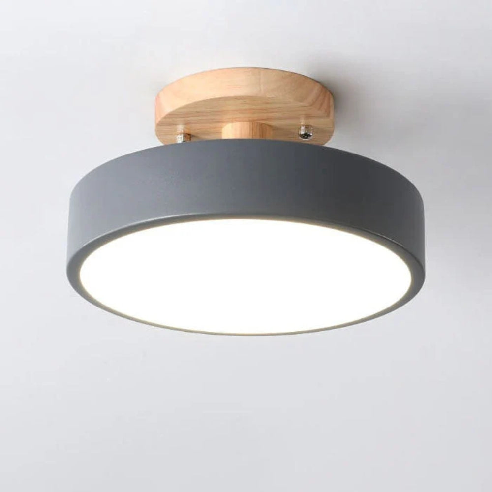 Luminara – Elegant LED Ceiling Light Fixture