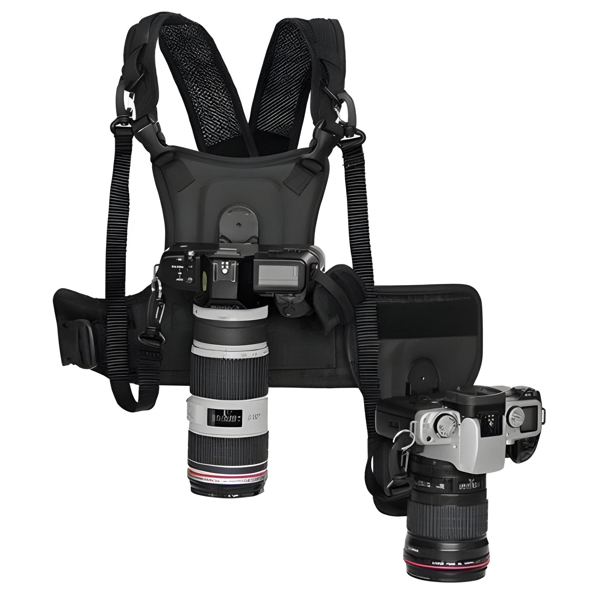 Chest Harness with Dual Camera Support System