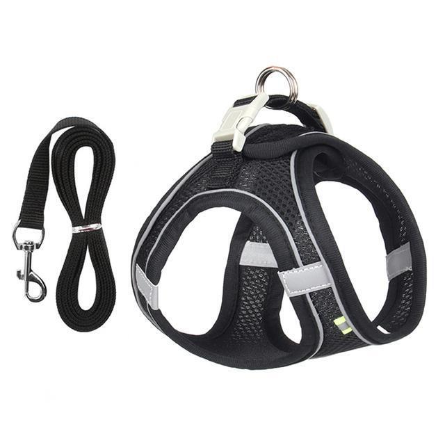 Harness and Leash Set for Small Dogs and Cats - Adjustable Fit