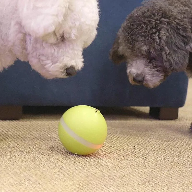 Interactive Pet Play Ball for Endless Fun