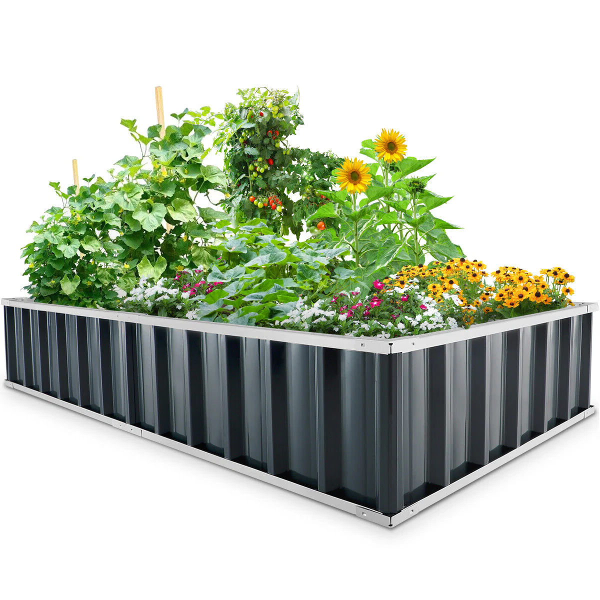 Raised Garden Bed for Outdoor Flowers and Vegetables