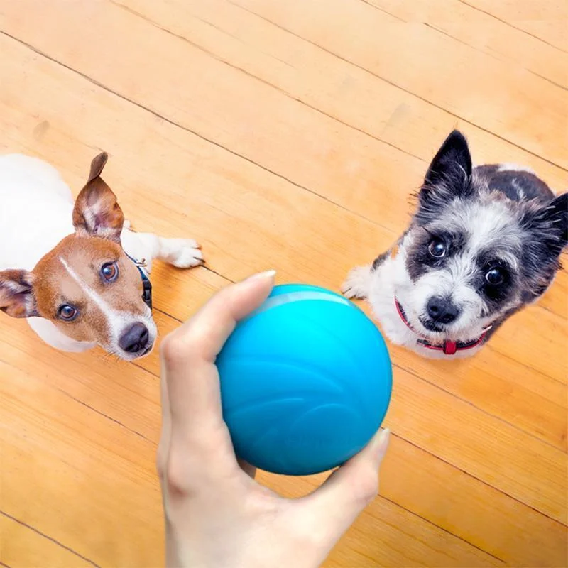 Interactive Pet Play Ball for Endless Fun