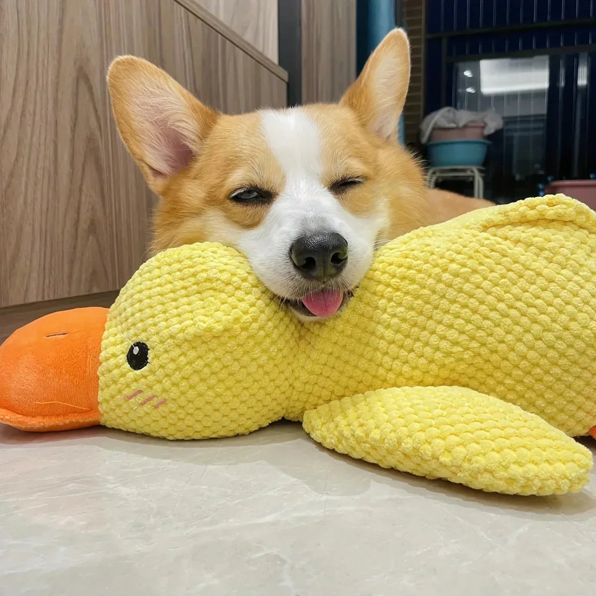 Engaging Quack Toy for Dogs – Perfect for Chewing and Playtime