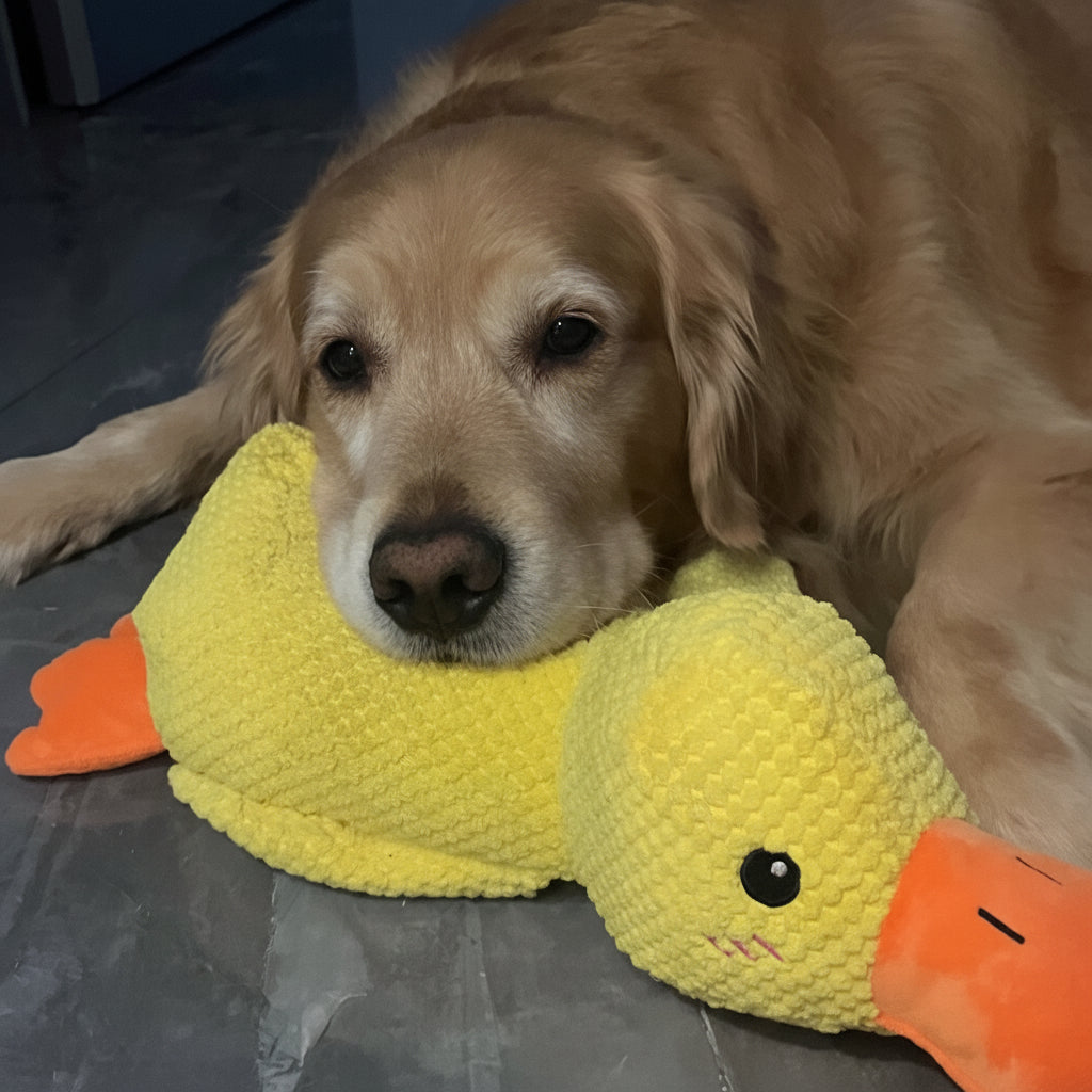 Engaging Quack Toy for Dogs – Perfect for Chewing and Playtime