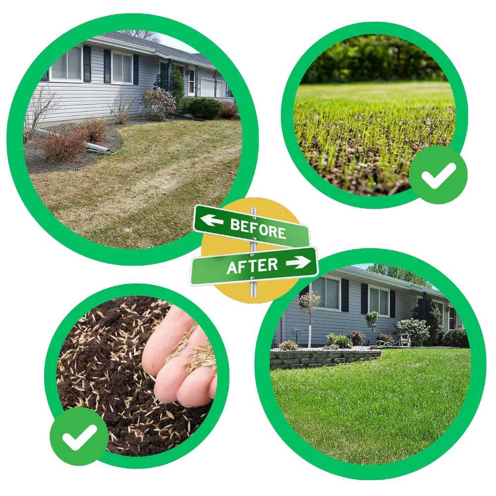 Instant Green Grass Seed Roll