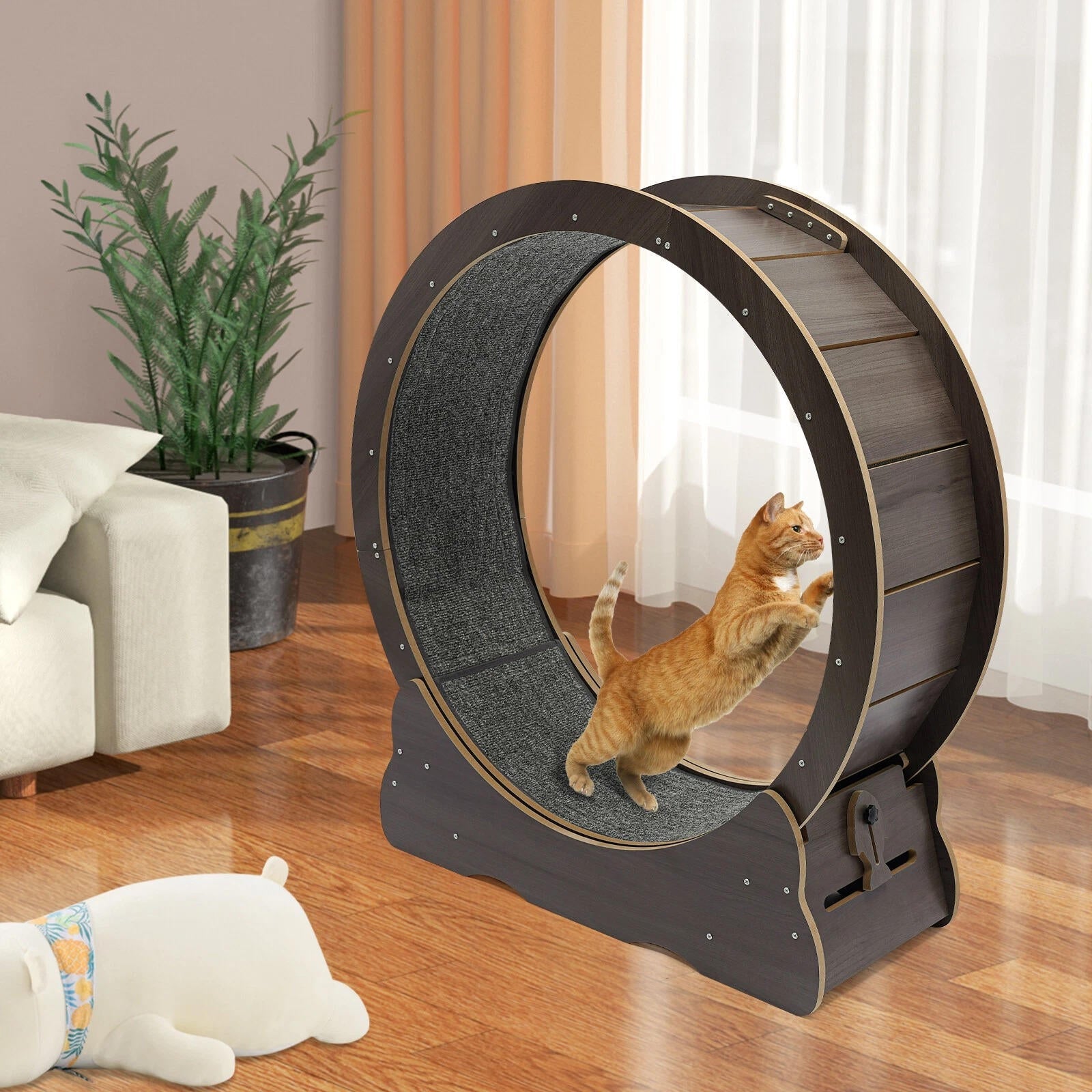 Indoor Cat Fitness Wheel for Active Play