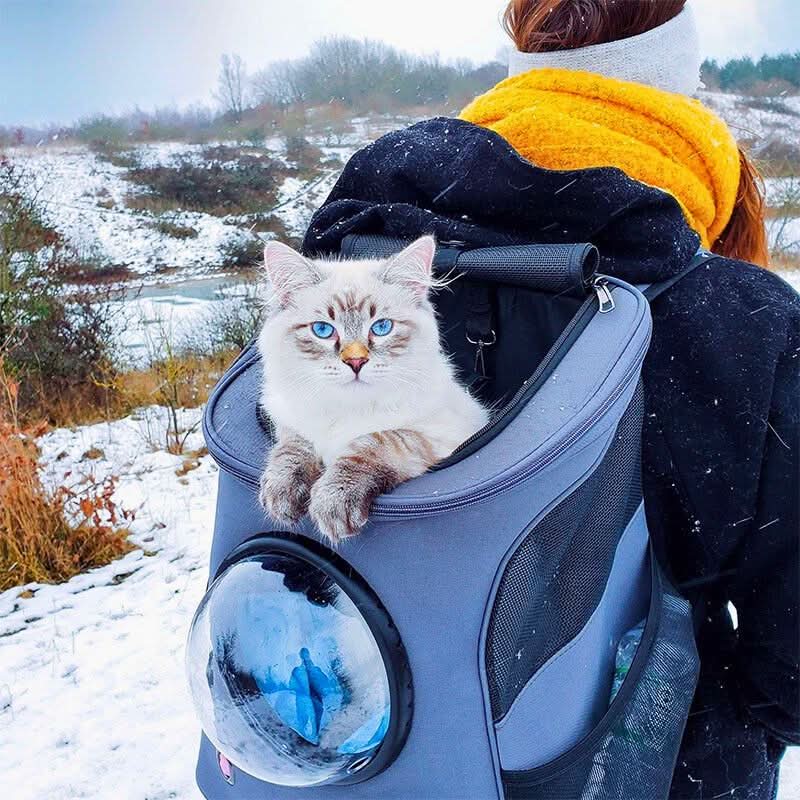 CatVoyage Portable Travel Carrier with Viewport and Comfort Features