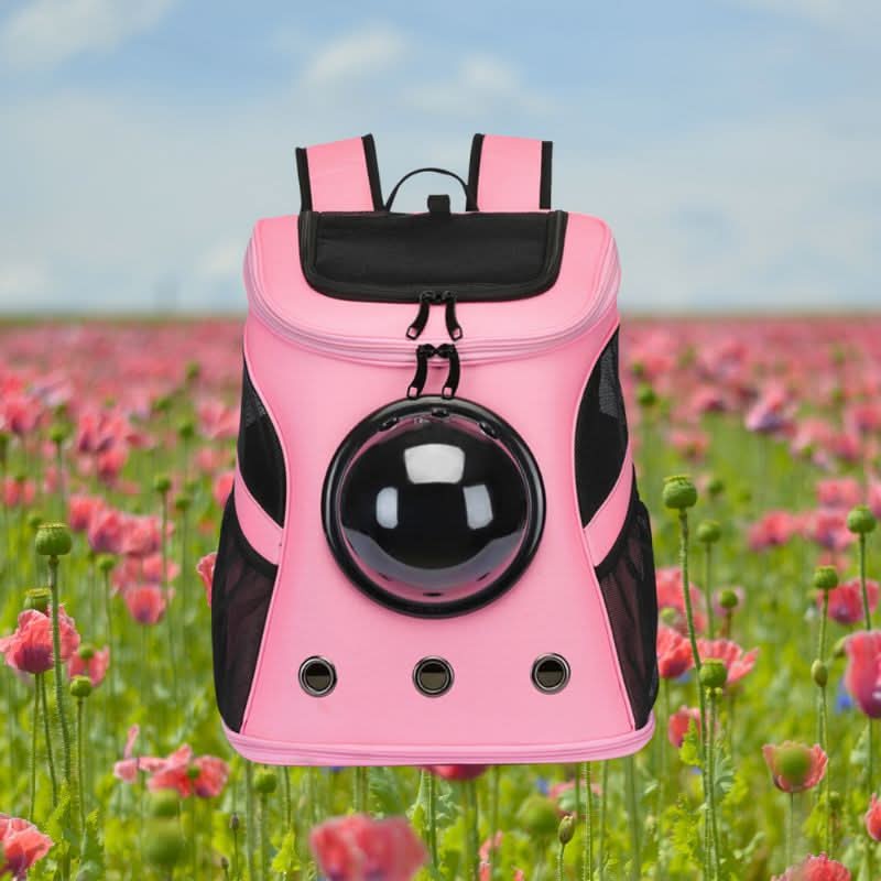 CatVoyage Portable Travel Carrier with Viewport and Comfort Features