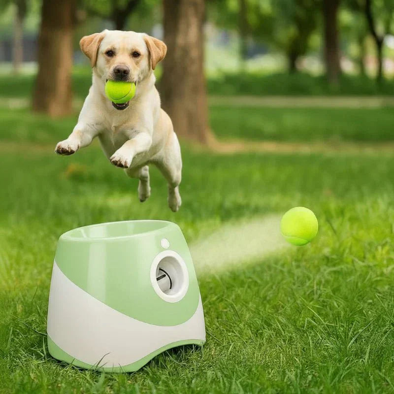 FetchMate Smart Ball Launcher for Dogs