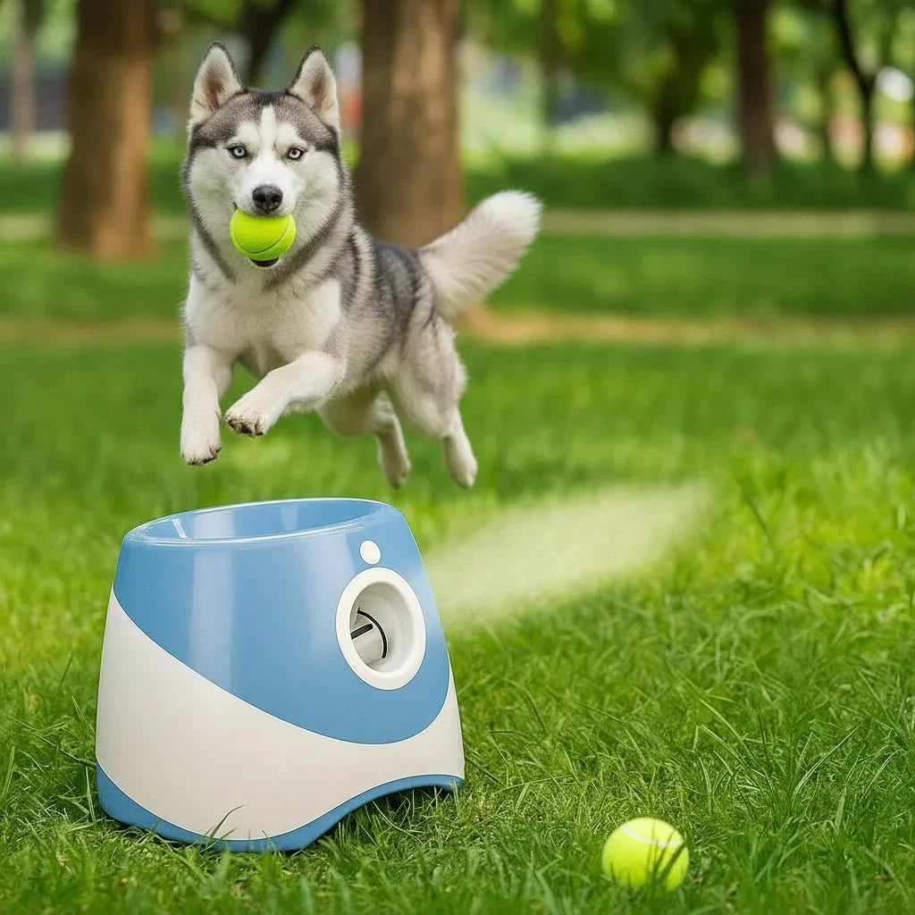 FetchMate Smart Ball Launcher for Dogs