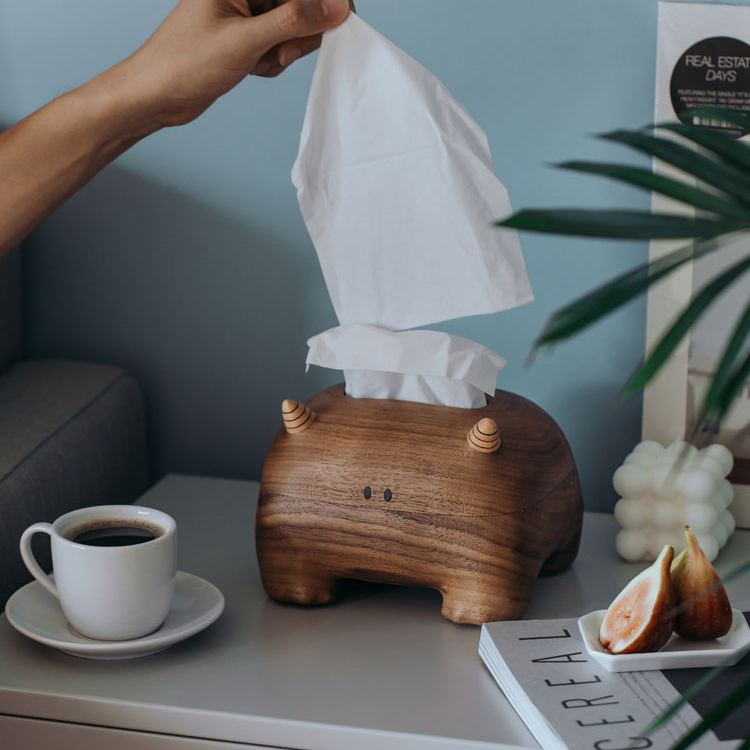 Taavita Tissue Holder: A Whimsical Addition to Your Space