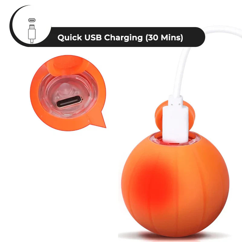 Special Edition Pet Toy Ball