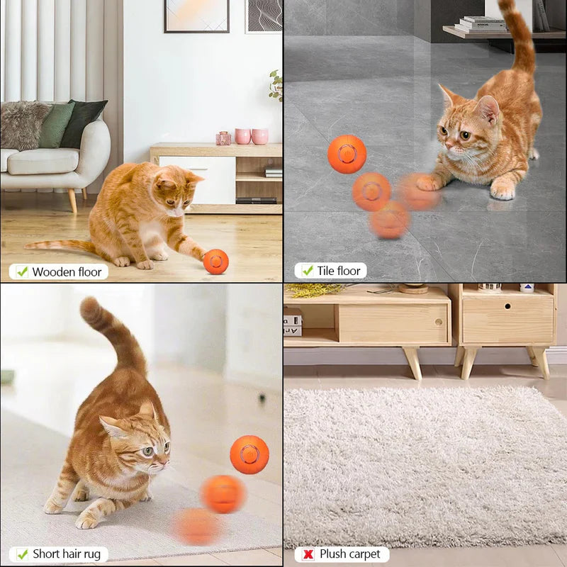 Special Edition Pet Toy Ball