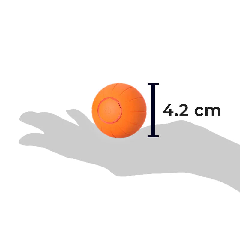 Special Edition Pet Toy Ball