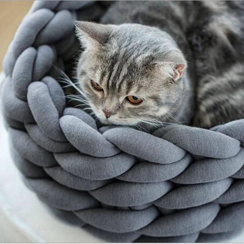CozyNest Soft Wool Pet Bed with Elevated Edge Protection