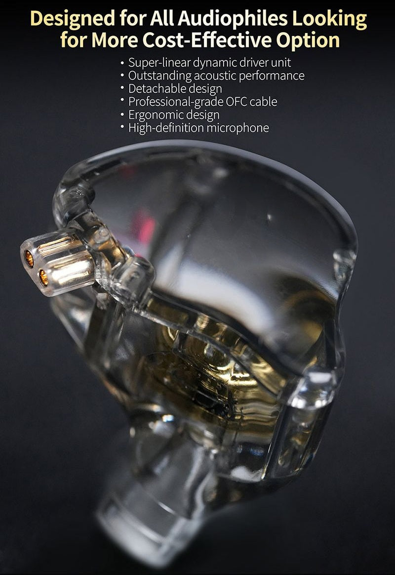 Premium In-Ear Audio Experience with Detachable Cable